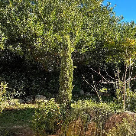 Cosy A Santa-giulia, 30m Plage, Climatisee, Terrasse Bbq, 3 Chambres, 5 Couchages - Fr-1-62-146